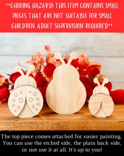Ladybug Shaped Craft Wood - Image 4