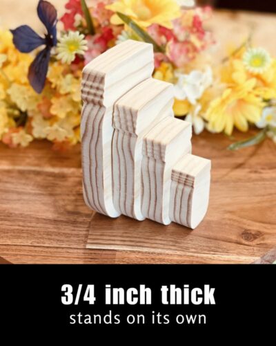 Mason Jar Shaped Craft Wood - Image 3