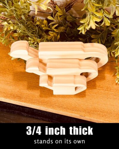 Watering Can Shaped Craft Wood - Image 5
