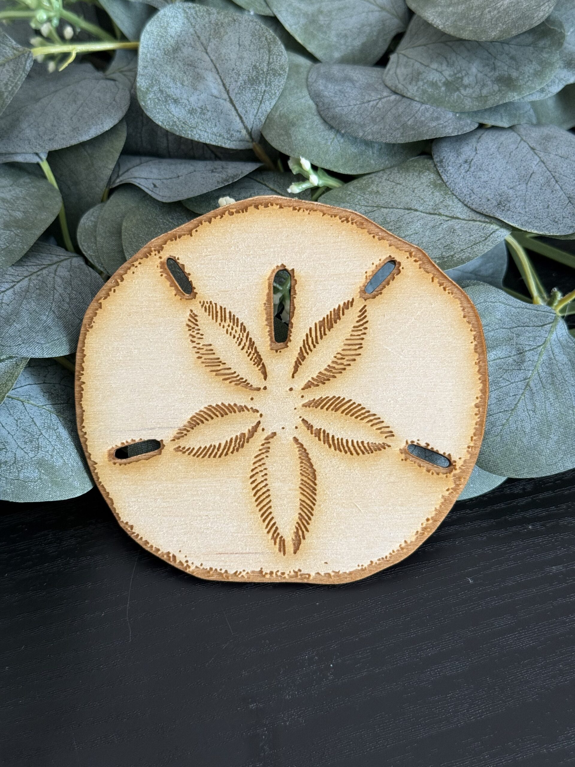 Sand Dollar with Engraved Design - Image 3